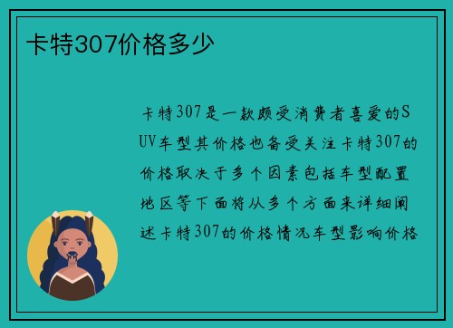卡特307价格多少