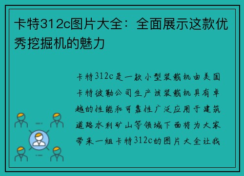 卡特312c图片大全：全面展示这款优秀挖掘机的魅力