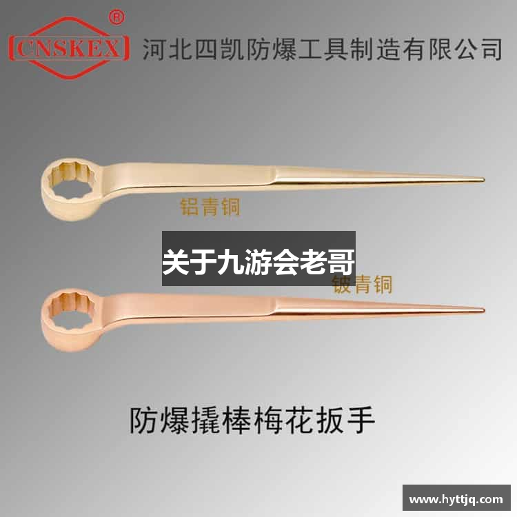 关于九游会老哥